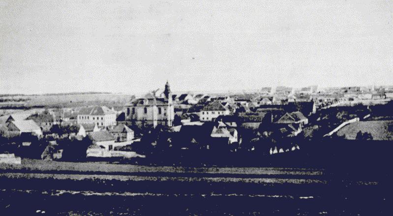 EL NORTE DE LIDICE